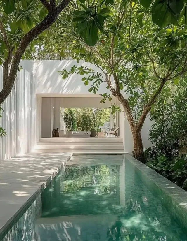 Minimal tropical pool pavilion, minimal, organic, light