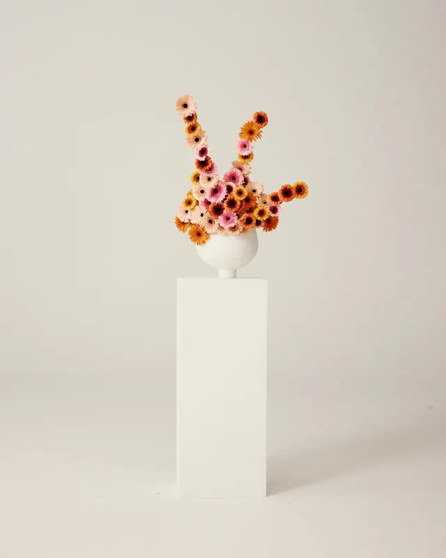 Sculptural gerbera arrangement on white plinth, minimal, photographic, light