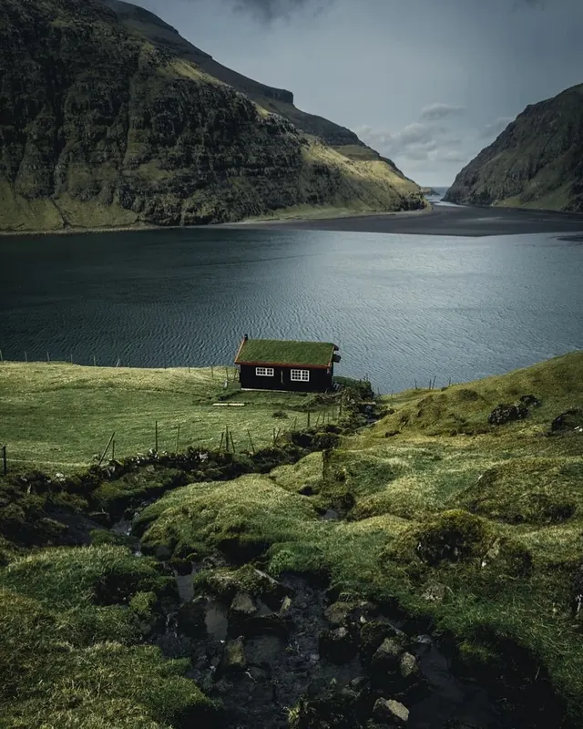 Lakeside Cabin Landscape
