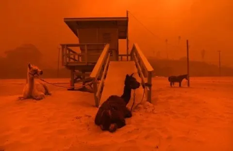 Monochromatic Orange Beach Scene