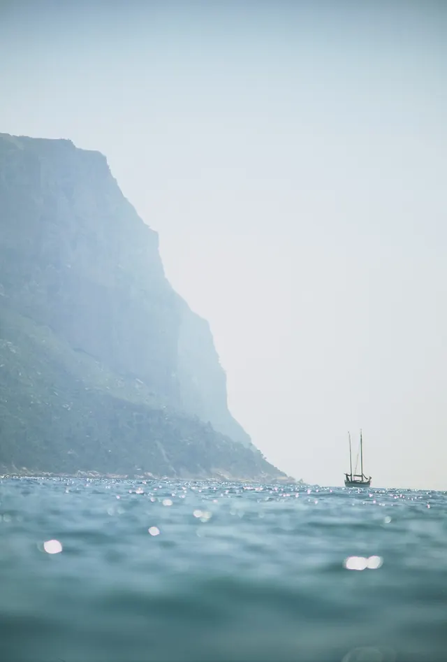 Misty Coastal Landscape
