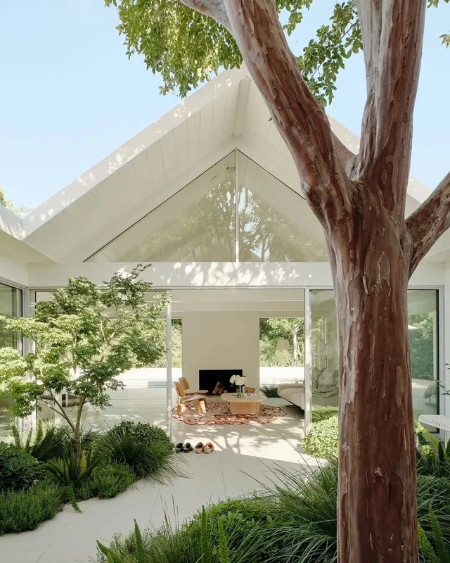 Modern Architectural Interior with Natural Elements
