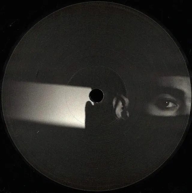 Monochrome Portrait on Vinyl, monochrome, minimal, monochrome