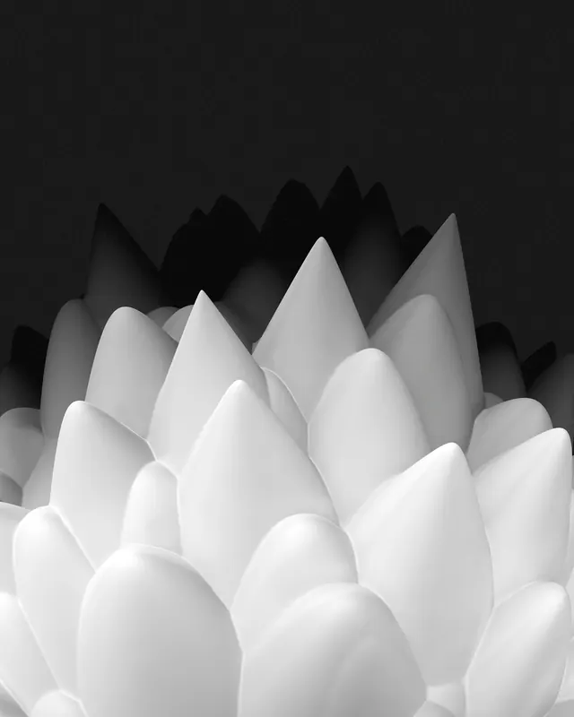 Close-up of white sculptural flower against black, minimal, monochrome, monochrome