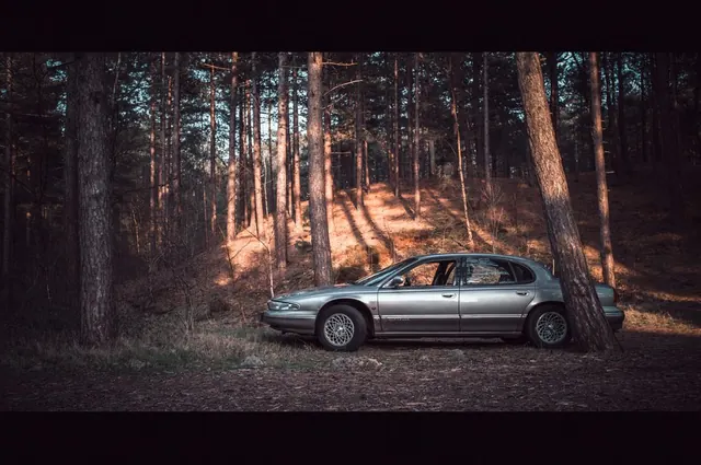 Car in Forest at Night