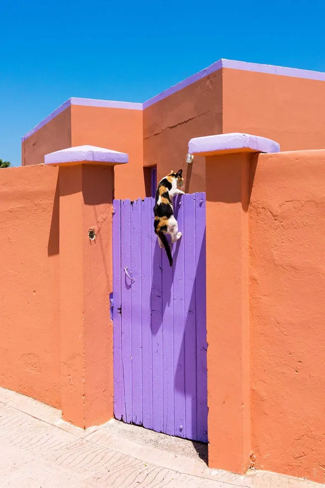 Terracotta and Purple Architecture