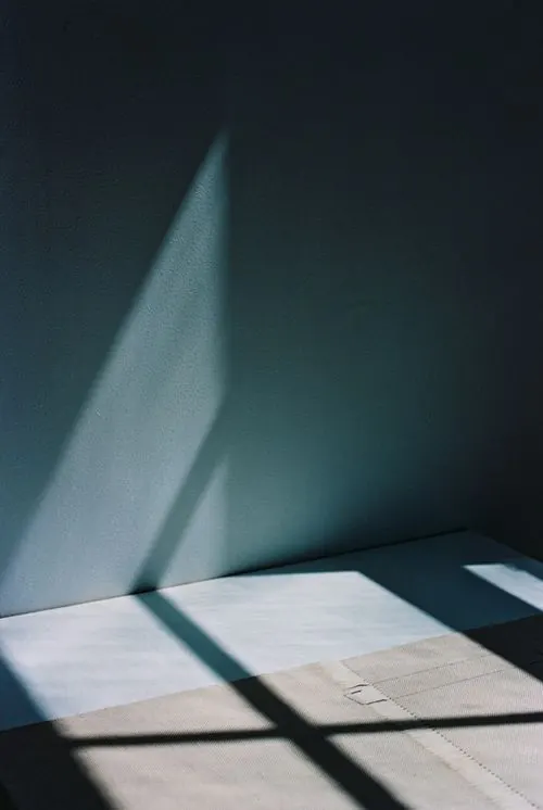 Shadow and Light on Textured Surface