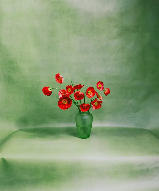 Red Flowers in Green Vase