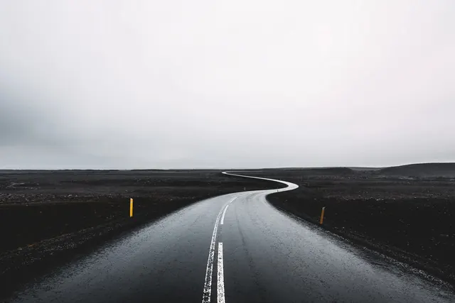 Wet Asphalt Road Landscape