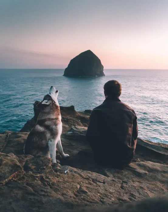 Man and Dog on Beach