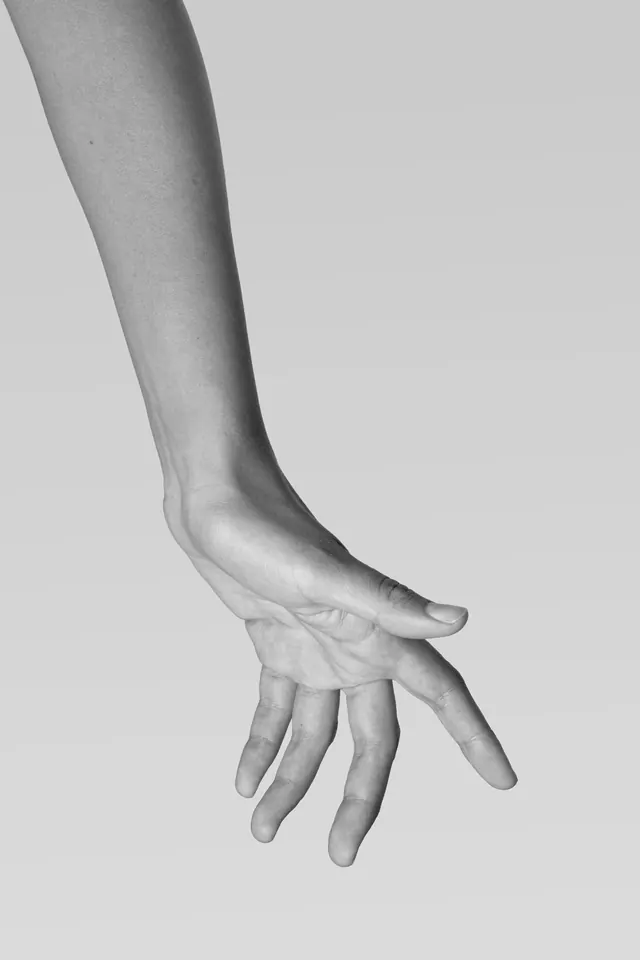 Monochrome Human Hand Study