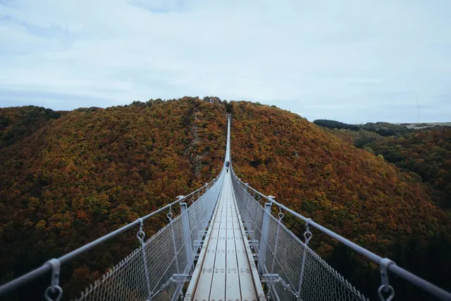 Geierlay suspension bridge landscape photography, photographic, minimalist, dark