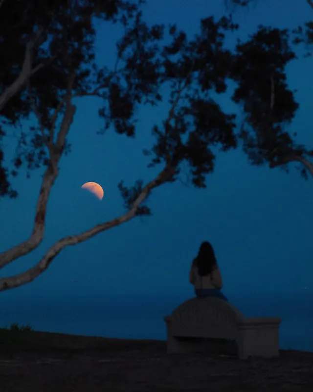 Night Landscape with Moon and Structure