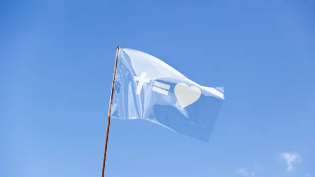 White Flag with Circular Graphic