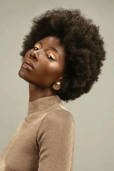 Portrait of a Woman with Afro Hair