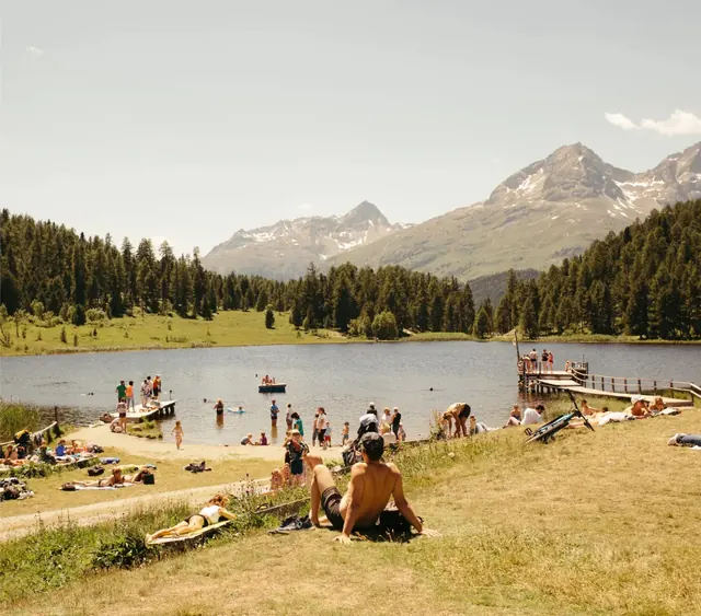 Mountain Lake Summer Scene