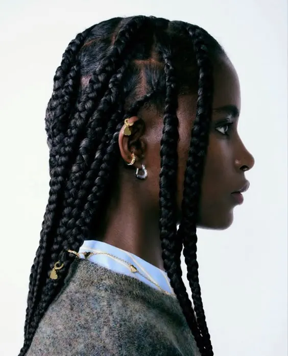 Portrait of a Woman with Braided Hair