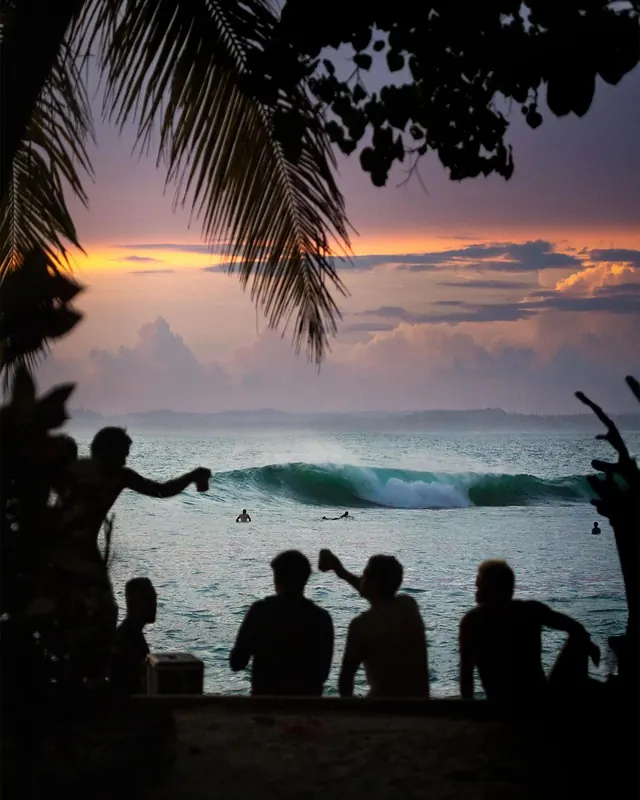 Tropical Beach Silhouette