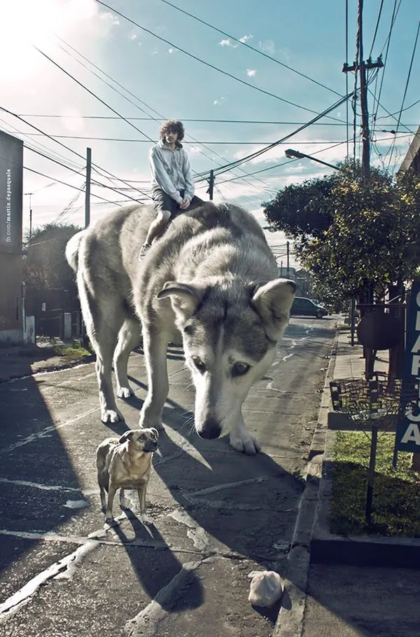 Surreal Street Scene with Large Animal
