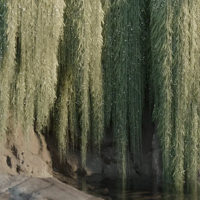 Weeping Willow Over Water