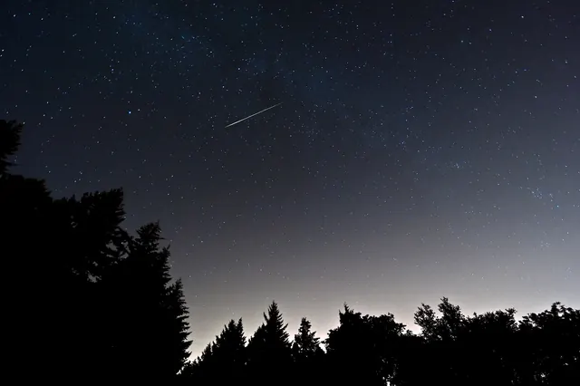 Starry Night Landscape