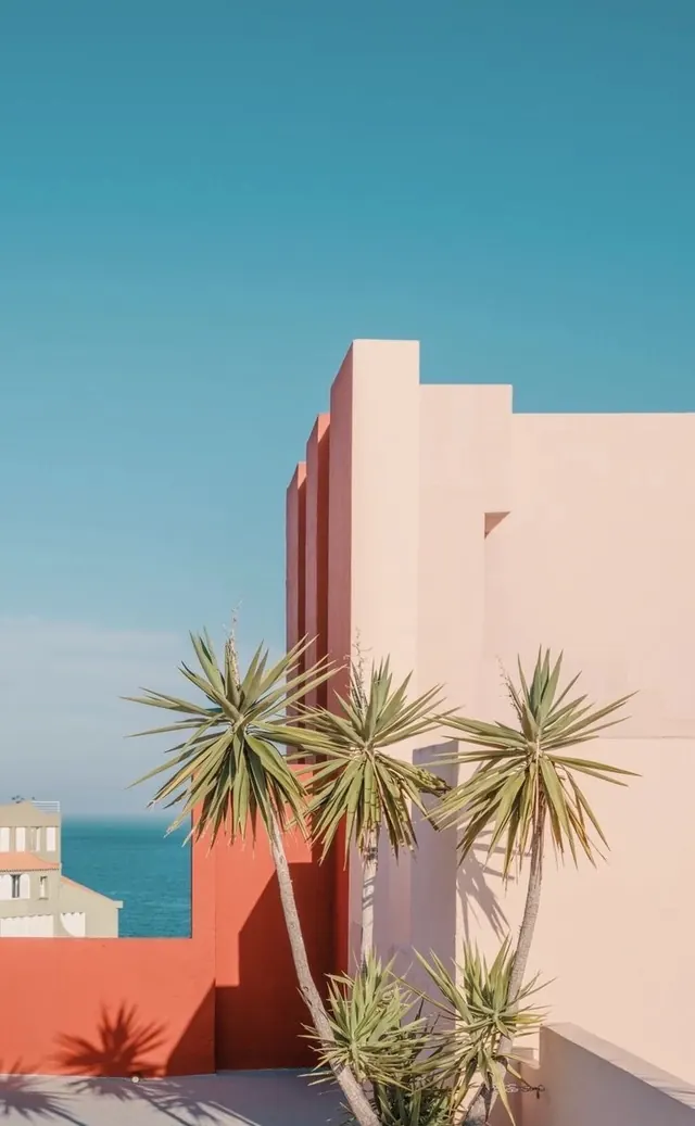 Pink Architectural Structure with Palm Trees