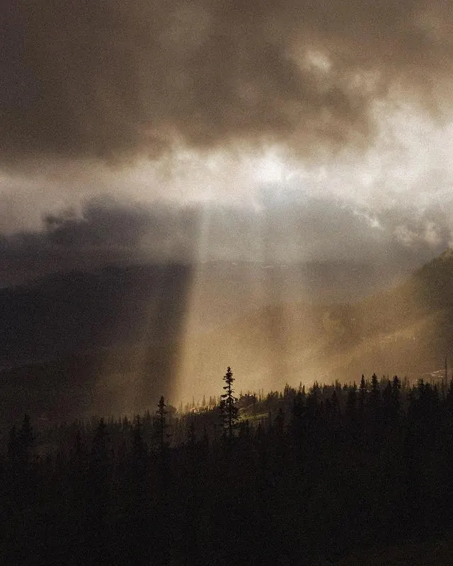 Sunlight through Clouds over Forest