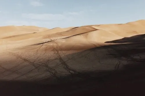 Sand Dunes Landscape