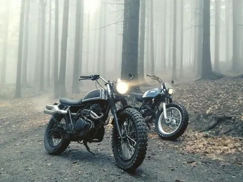 Motorcycle in Foggy Forest