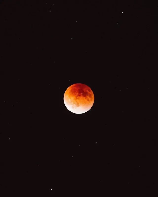 Blood Moon in Night Sky