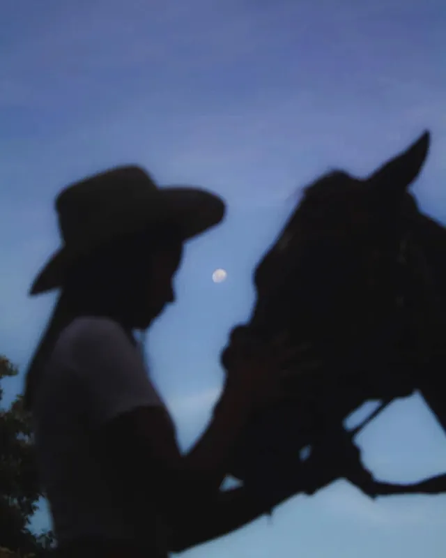 Silhouette of Rider and Horse