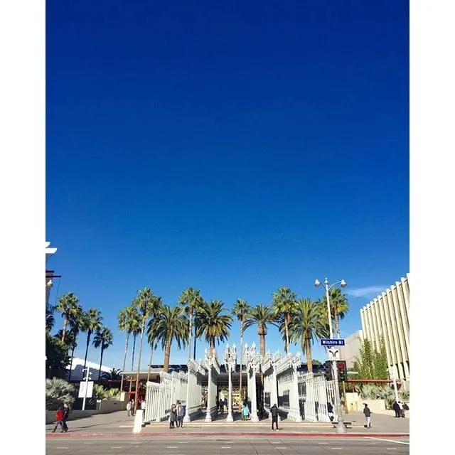 Modern Architecture and Palm Trees