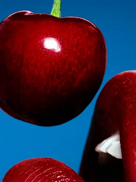 Macro Cherry Close-up