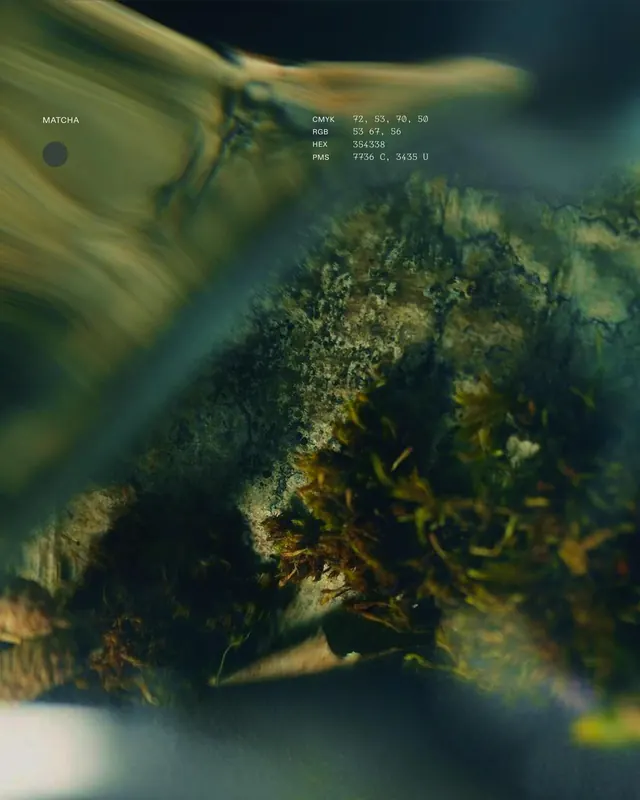 Macro organic texture with matcha color data overlay, minimal, dark-mode, dark