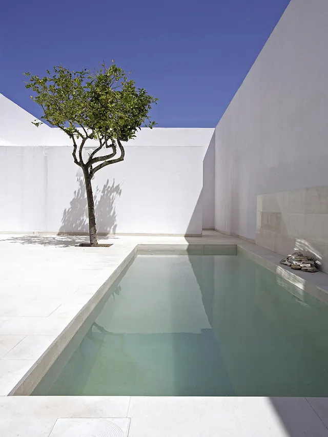 Minimalist Poolside Architecture