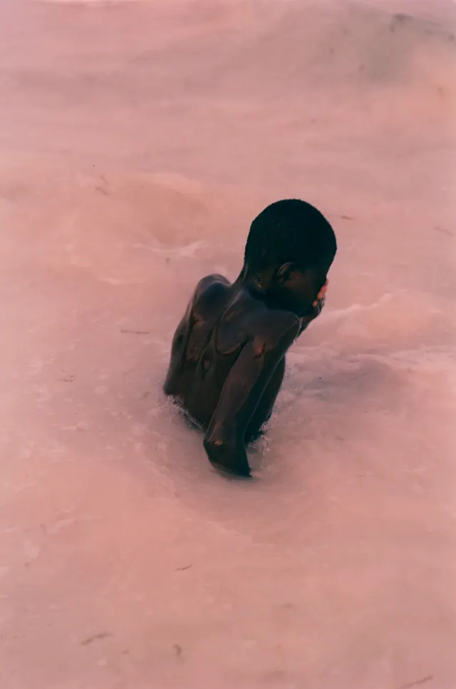 Abstract Animal Figure in Pink Sand