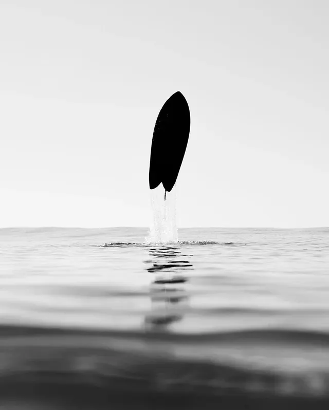 Surfer in Water