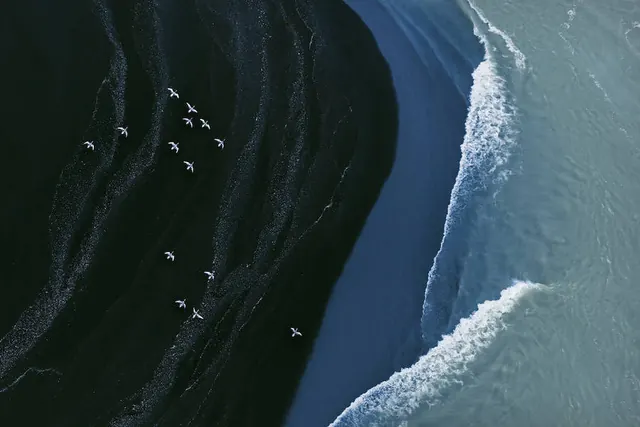 Aerial Beach Landscape
