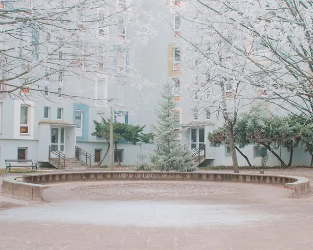 Winter Courtyard Architecture