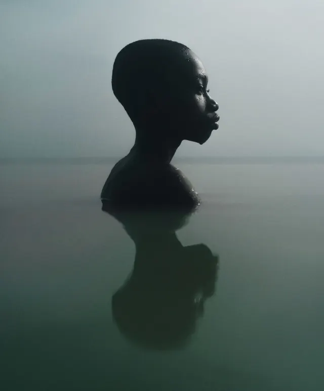 Silhouette in Water