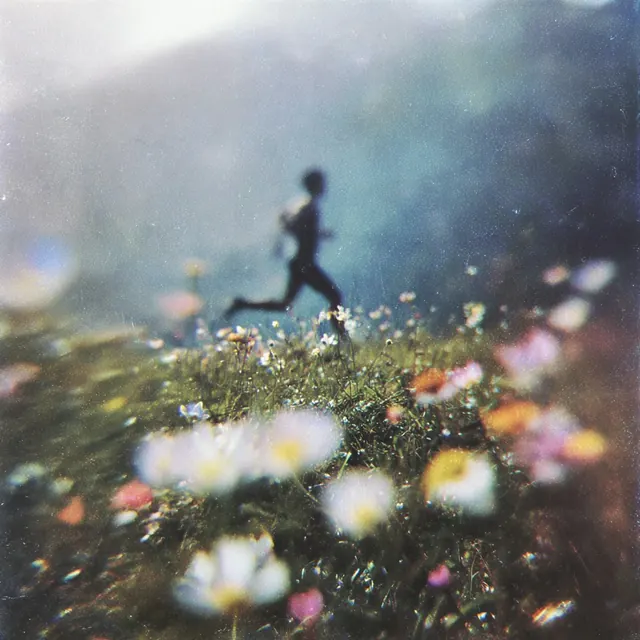 Foggy Meadow Runner