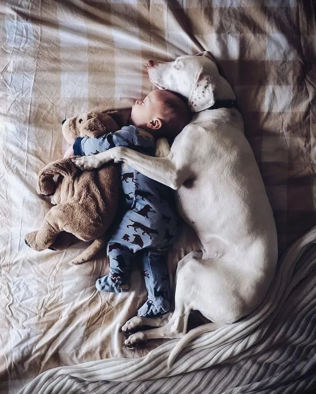 Child and Teddy Bear in Bed