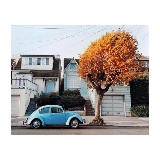 Vintage Car and Autumn Tree