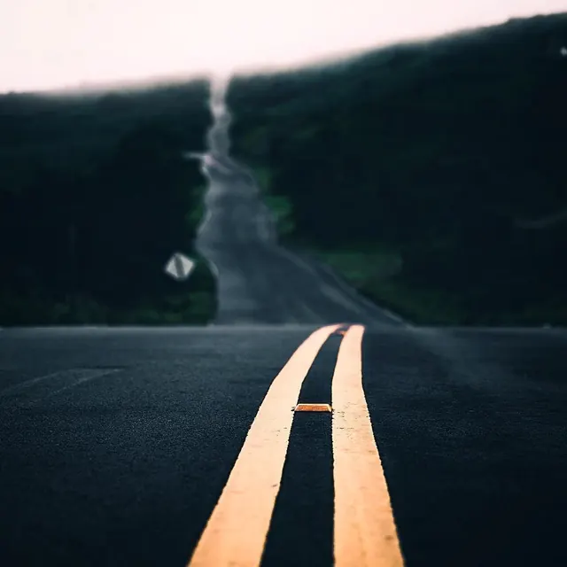 Mountain Road Perspective
