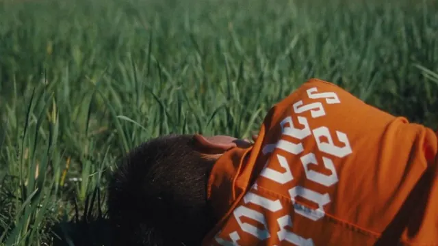 Person in Orange Shirt in Grass
