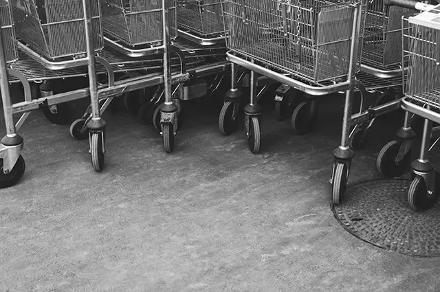 Shopping Carts in Store