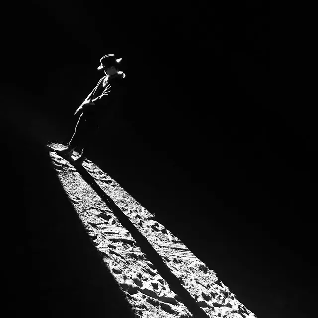 High-Contrast Silhouette on Textured Path