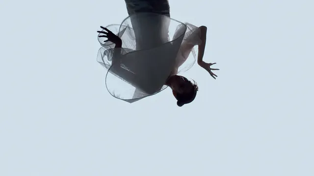 Abstract Human Form Silhouette