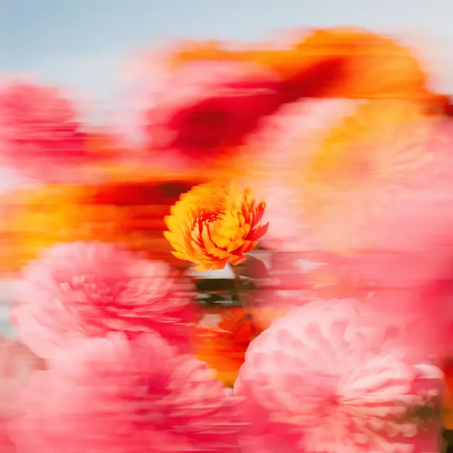 Blurred Floral Abstract