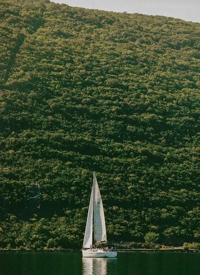 Sailboat on Lake with Forest Background
